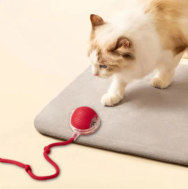 Jucarie interactiva pentru animalute